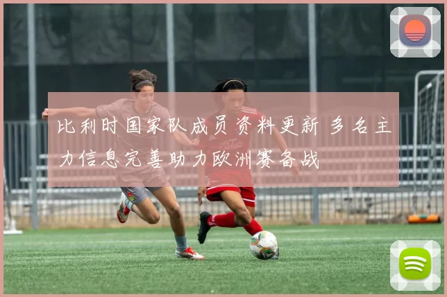 比利时国家队成员资料更新 多名主力信息完善助力欧洲赛备战