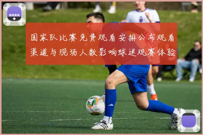 国家队比赛免费观看安排公布观看渠道与现场人数影响球迷观赛体验