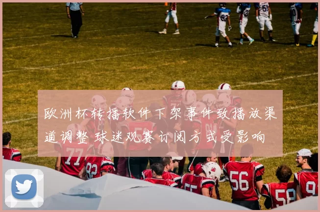欧洲杯转播软件下架事件致播放渠道调整 球迷观赛订阅方式受影响
