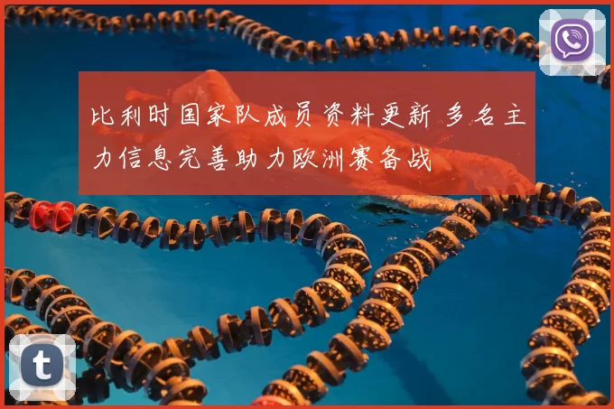 比利时国家队成员资料更新 多名主力信息完善助力欧洲赛备战