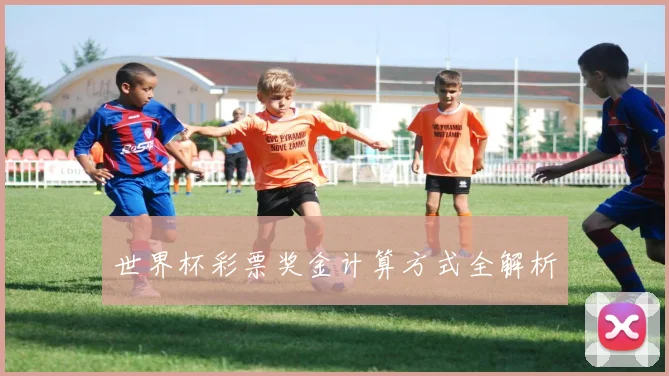 世界杯彩票奖金计算方式全解析