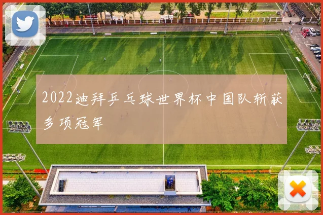 2022迪拜乒乓球世界杯中国队斩获多项冠军