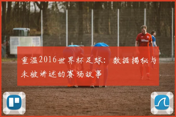 重温2016世界杯足球：数据揭秘与未被讲述的赛场故事