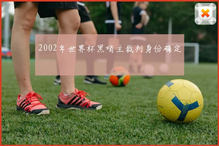 2002年世界杯黑哨主裁判身份确定