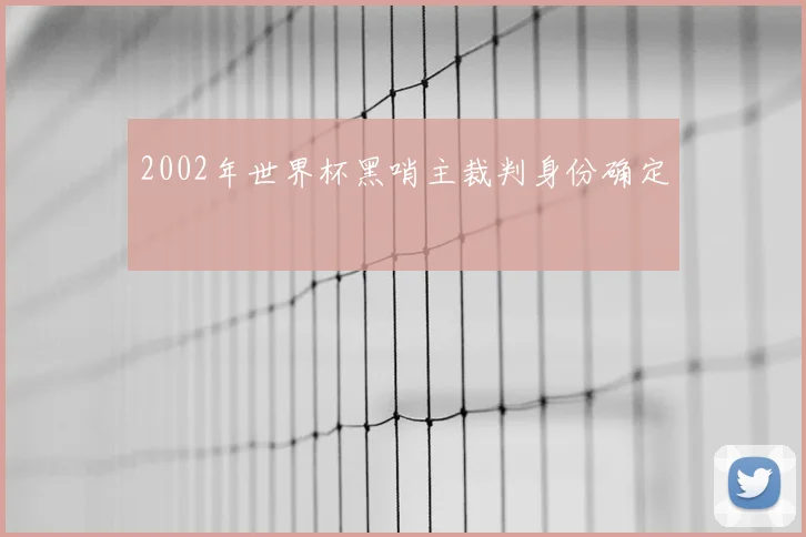 2002年世界杯黑哨主裁判身份确定